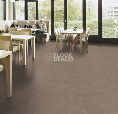 Forbo Marmoleum Decibel on Order 324635 shrike фото 2 | FLOORDEALER